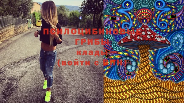 марихуана Менделеевск