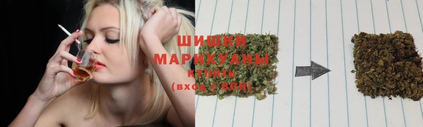 ECSTASY Краснослободск