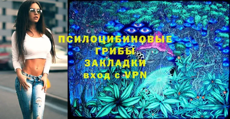 darknet официальный сайт  Ясногорск  Псилоцибиновые грибы Psilocybine cubensis 